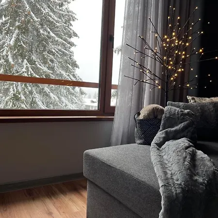 Snow Story Apartment Pamporovo