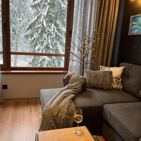 Snow Story Apartment *
